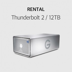 렌탈 스토리지 지테크놀로지 G-RAID 12TB