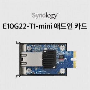 시놀로지 E10G22-T1-Mini 애드인 카드
